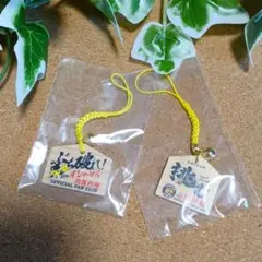 阪神タイガース 甲子園詣 絵馬 ２点セット 非売品