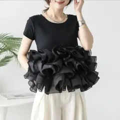 AMELY ボリュームフリルトップス