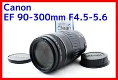 ✨完動品✨キヤノン Canon EF 90-300㎜ 大迫力の望遠レンズ
