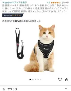 Item thumbnail for item 2eb53b6a-ec40-4886-bbe9-dbaf0a760789