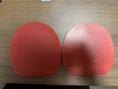 卓球 ディグニクス64 特厚 赤