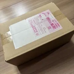 ポケモンセンター トウホク スペシャルBOX 新品未開封