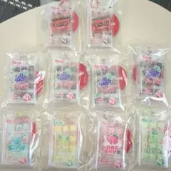 ミニチュアキーホルダー　10個セット