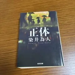 正体