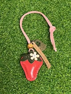 ブライス　ミディブライス　アイシードール　パオラドール　いちごのチャーム