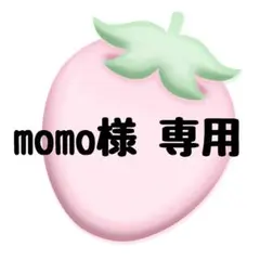 専用ページ