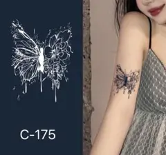 Item thumbnail for item c06e8adb-ea40-421a-9a77-faffcb477105