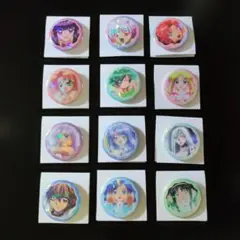 セリア　ぴちぴちピッチ　缶バッジコレクション2 　１２点セット