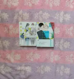 BL小説２冊　海野幸　悪い男には裏がある　渡海奈穂　空はちゃんと晴れてる