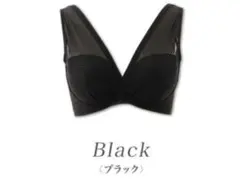 Item thumbnail for item ab6b9488-1e24-426a-b5d1-5bd55f2b2ffb