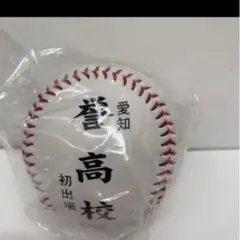 甲子園　記念ボール