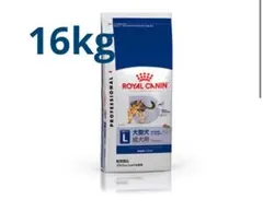 Item thumbnail for item 02541cd9-1d49-49d0-bc45-a4c091cfe61d