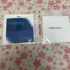 最安値 BOYSBOYSBOYS ハルカミライ 廃盤 ナインス 最安値 BOYSBOYSBOYS ハルカミライ 廃盤 ナインス - メルカリ