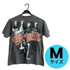 【美品】エアロスミス 2011 ツアー Tシャツ バンド Mサイズ