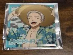 WIND BREAKER ウィンブレ祭 梅宮一 ランダムコースター