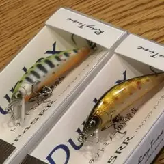 レイチューン DP45RR 2個セット オリカラ