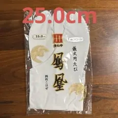 Item thumbnail for item 5b1f9e59-e662-4cb2-b332-b26a3aeb6a25