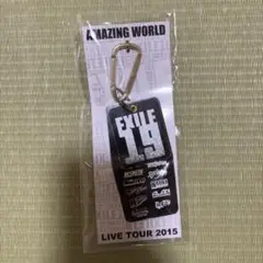 EXILE AMAZING WORLD 19 カラビナ付きキーホルダー