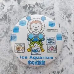氷の水族館　ホヤぼーや　缶バッチ