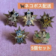 ピンバッジ5個セット ディズニーシー20周年 アブーズバザール 景品