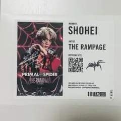 浦川翔平　レモンスカッシュ　ラベル