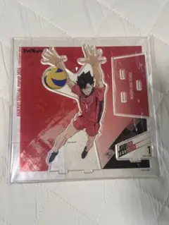 ハイキュー!! ベージュヤードトーキョー 黒尾鉄朗
