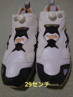 限定 リーボック ポンプヒューリー Insta pump Fury 29