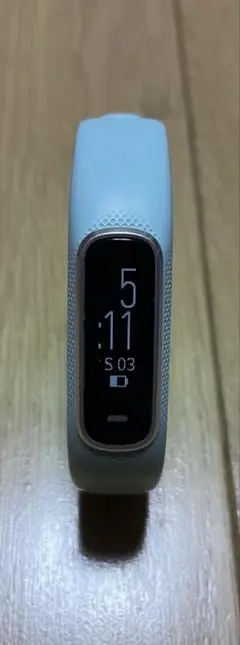 GARMIN vivosmart4 bluesilver