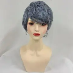 【即納】ショートウィッグ メンズ フルウィッグ Wigs2you WM-033