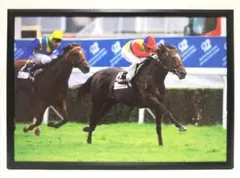 Item thumbnail for item b1ce73da-90ac-40a9-a3fd-50e8a9910209