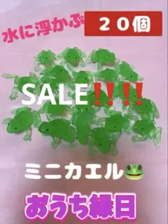 ①ぷかぷかミニカエル　２０個　おうち縁日　すくい人形　お風呂のおもちゃ