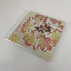 しあわせの花
