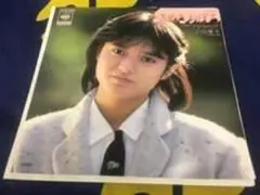 南野陽子 ときめきの季節 7インチシングル
