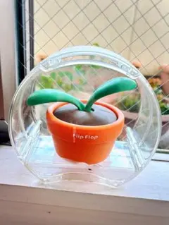 希少　レア　TOMY　フリップフラップ　5個　2003年製　FlipFlap 希少 レア TOMY フリップフラップ 5個 2003年製 FlipFlap - メルカリ