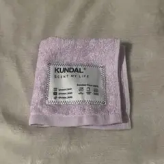 Item thumbnail for item 0743e02e-58da-468d-a4f2-25a80ffceb66