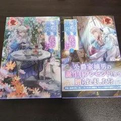 サイコな黒幕の義姉ちゃん 　1巻　2巻　セット
