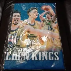 Item thumbnail for item ed928319-4e9d-4f0f-b1d6-7d4804ac15bc