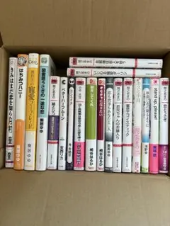【BL小説】19冊まとめ売りセット