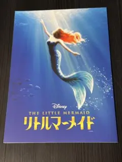 Item thumbnail for item 448b5fb7-d357-4600-ada2-f1748dba019e