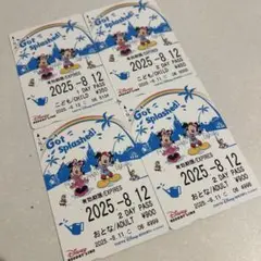 ディズニーリゾートライン　フリーきっぷ　使用済