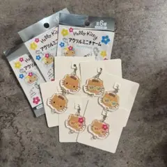 【24時間以内発送】日焼けキティ　アクリルチャーム　6点セット
