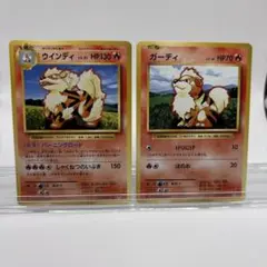 ウインディ ガーディ 2枚セット CP6