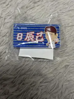 楽天イーグルス 辰己涼介 アクリルバッジ イーグルスガチャ