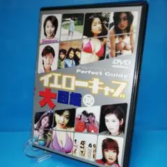 美品　DVD イエローキャブ大図鑑 銀