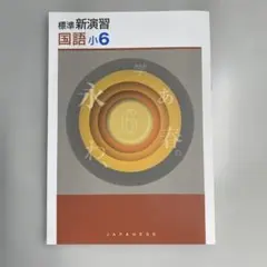 【新品未使用品】標準新演習　国語　小６