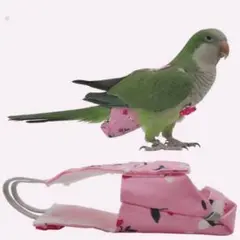 バードスーツ Mサイズ 鳥のオムツ フライトスーツ バナナ柄 可愛い 中型インコ