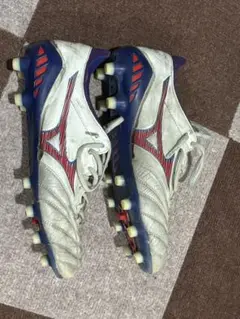 Item thumbnail for item b76601de-9d9a-4100-8b91-17f2229ced8c