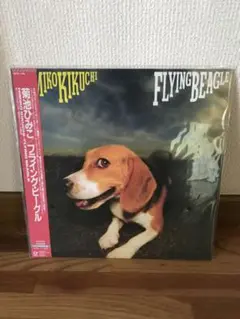菊池ひみこ FLYING BEAGLE 帯付き 未開封LP