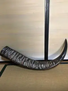 牛 角 アンティーク アメリカ