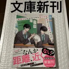 文庫新刊